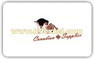 Fox Terrier